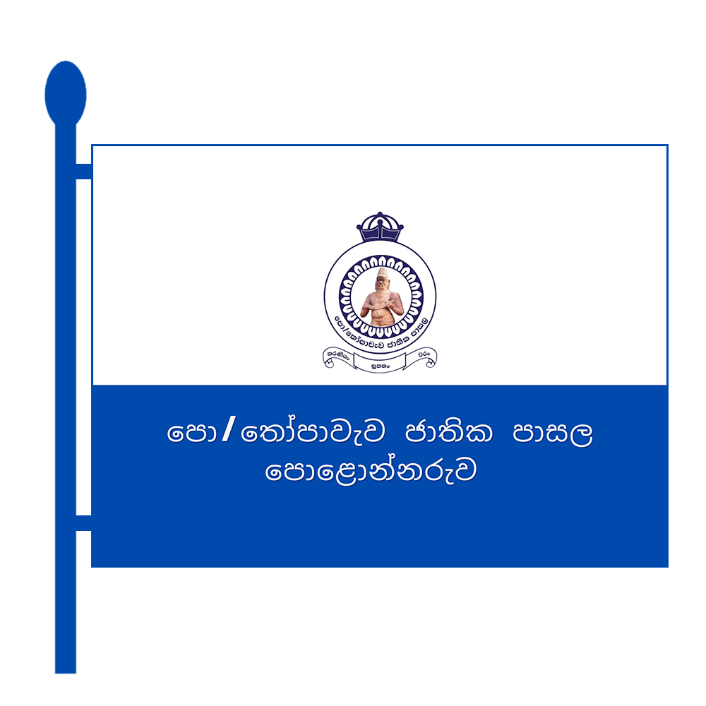School Flag